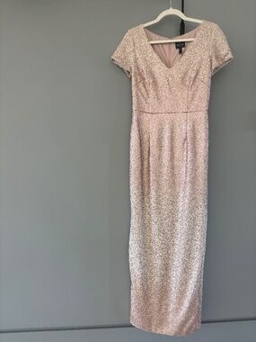 Adrianna Papell Champagne Sequin Dress